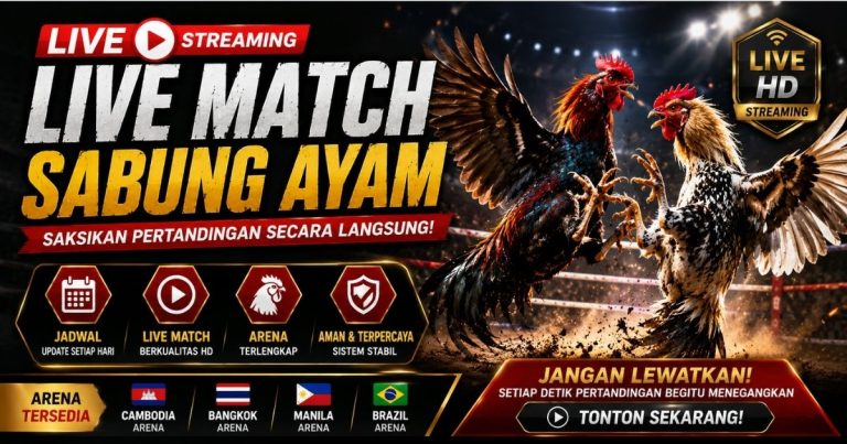 Live Match Sabung Ayam