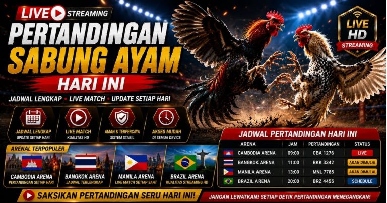 Pertandingan Sabung Ayam Hari Ini